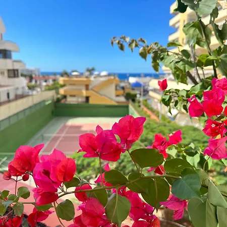 In Ocean Park, Costa Adeje, Tenerife * 阿德耶