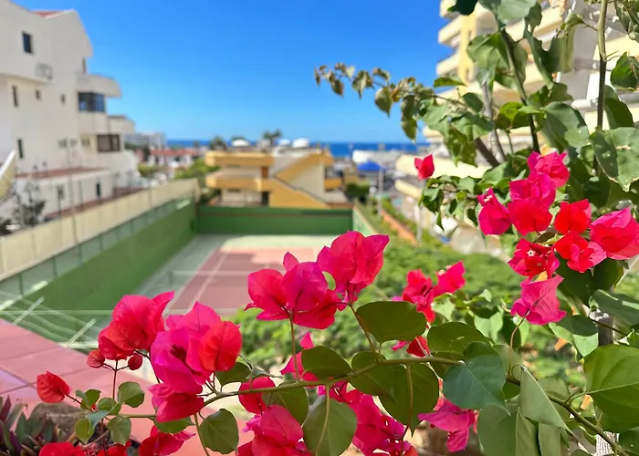 In Ocean Park, Costa Adeje, Tenerife * Costa Adeje (Tenerife)