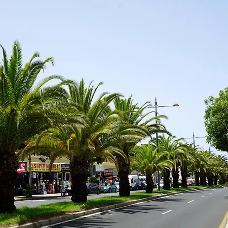 Apartman In Ocean Park, Costa Adeje, Tenerife *