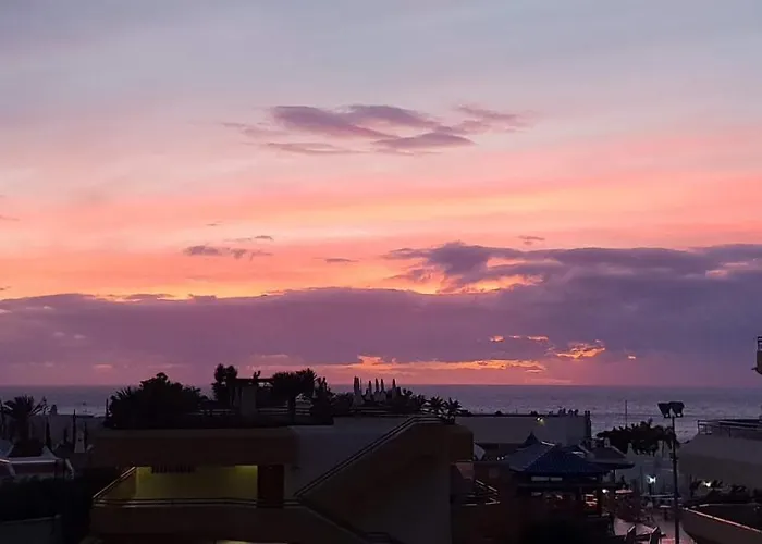 In Ocean Park, Costa Adeje, Tenerife