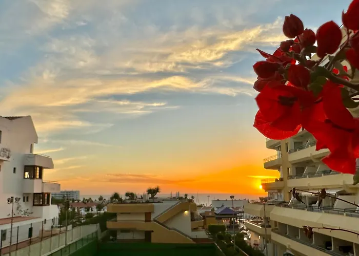 In Ocean Park, Costa Adeje, Tenerife